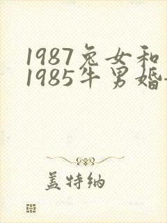 1987兔女和1985牛男婚姻和不和封面