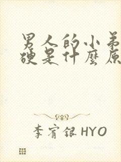 男人的小弟弟不硬是什么原因