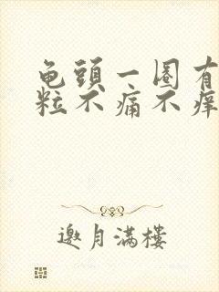 龟头一圈有小颗粒不痛不痒封面