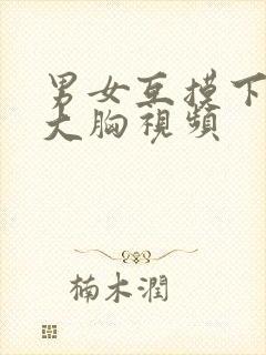 男女互摸下面揉大胸视频