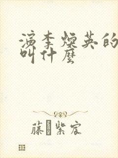 演李焕英的演员叫什么