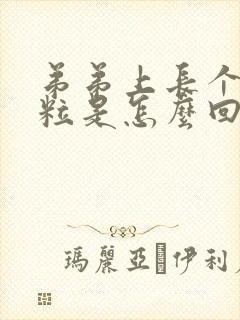 弟弟上长个小肉粒是怎么回事