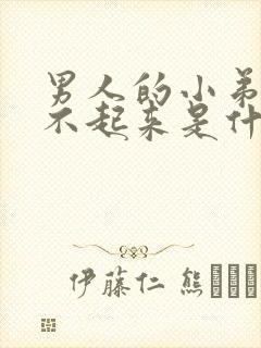 男人的小弟弟硬不起来是什么原因/