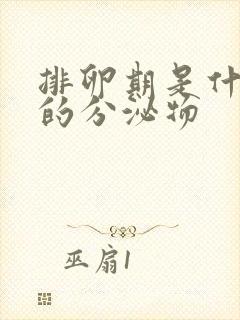 排卵期是什么样的分泌物