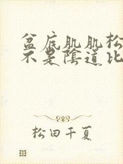 盆底肌肌松弛是不是阴道比较松