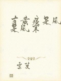 有黄痰是风热还是风寒