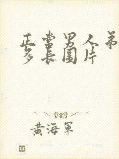 正常男人弟弟有多长图片