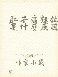 肚子痛想拉大便是什么原因