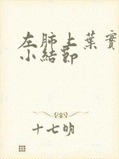 左肺上叶实性微小结节