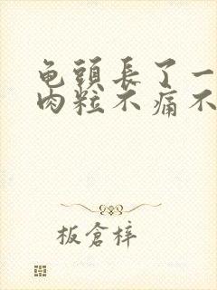 龟头长了一圈小肉粒不痛不痒