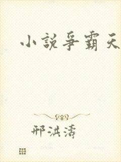 小说争霸天下封面