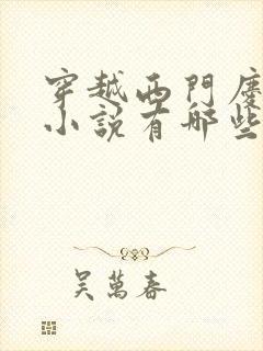 穿越西门庆历史小说有哪些封面