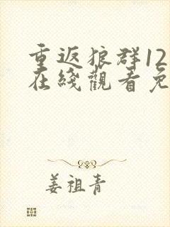 重返狼群12集在线观看免费版高清