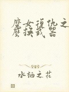 魔女复仇之夜怎么换武器