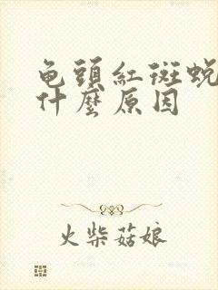 龟头红斑蜕皮是什么原因