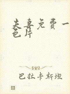 夫妻免费一级黄色片