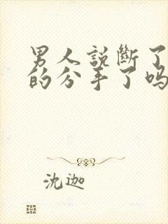 男人说断了是真的分手了吗封面