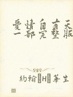 爱情自有天意第一部完整版封面