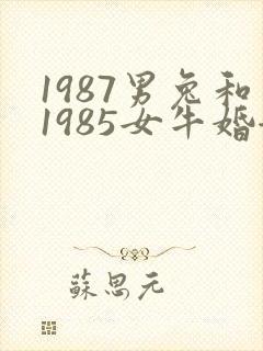 1987男兔和1985女牛婚姻好不好