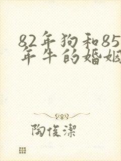 82年狗和85年牛的婚姻