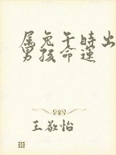 属兔午时出生的男孩命运封面