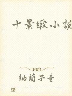 十景缎小说