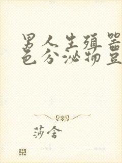 男人生殖器有白色分泌物豆腐渣