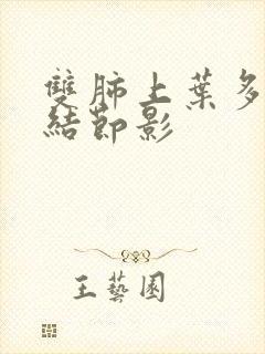 双肺上叶多发小结节影封面