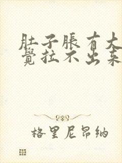 肚子胀有大便感觉拉不出来什么原因?