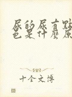 尿的尿有点偏红色是什么原因