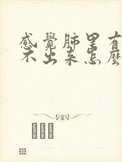 感觉肺里有痰咳不出来怎么办封面