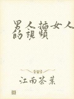 男人插女人的逼的视频