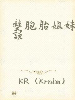 双胞胎姐妹怎么说封面