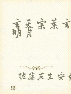 玄天宗叶玄澹台明月封面