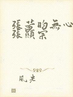 张若昀无心法师张显宗