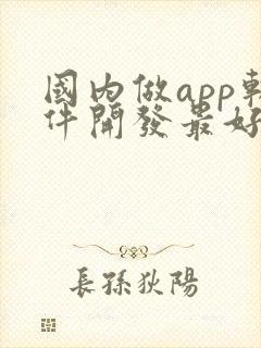 国内做app软件开发最好的公司封面