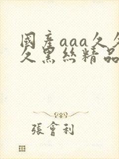 国产aaa久久久黑丝精品