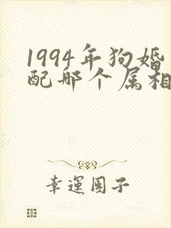 1994年狗婚配哪个属相最好封面