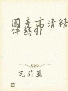 国产高清精品软件丝91