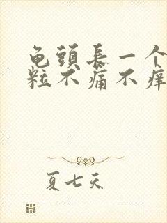 龟头长一个小肉粒不痛不痒