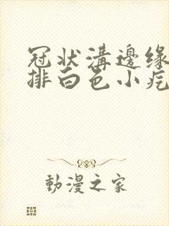 冠状沟边缘长一排白色小疙瘩