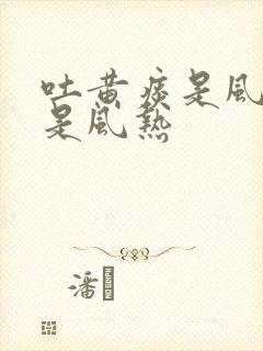 吐黄痰是风寒还是风热