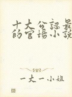 十大公认最好看的官场小说