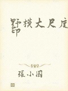 野模大尺度无水印