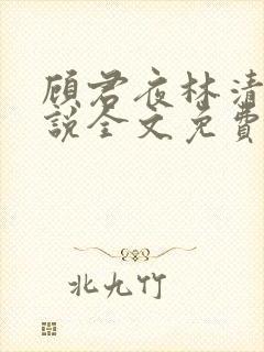 顾君夜林清妍小说全文免费阅读