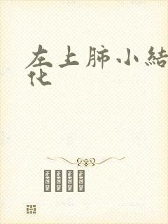 左上肺小结节钙化