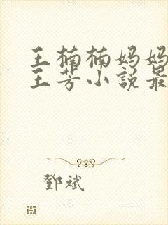 王楠楠妈妈王姨王芳小说最新章节更