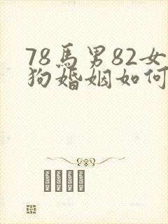 78马男82女狗婚姻如何
