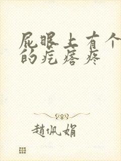 屁眼上有个硬硬的疙瘩疼