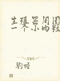 生殖器周围长了一个小肉粒